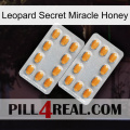 Leopard Secret Miracle Honey cialis4